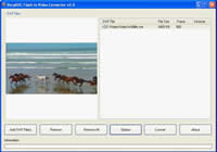 Interface of Flash to Video Converter